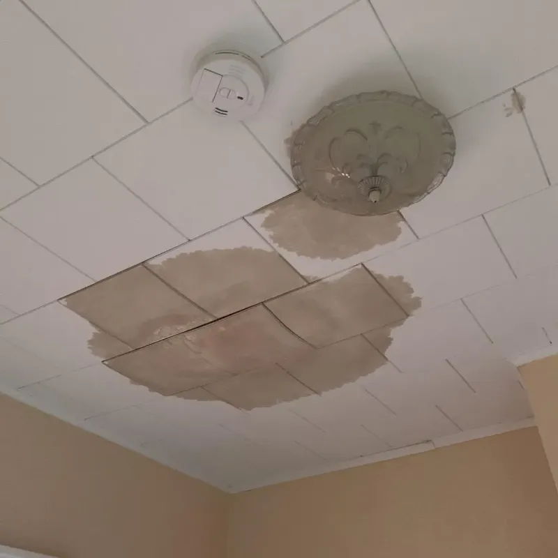 Ceiling Water Damage Repair in Brackenridge, PA
